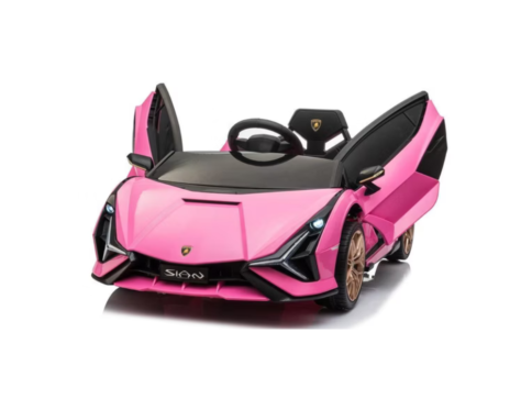 R/C Lamborghini SIAN
